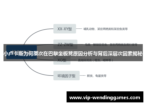 小卢卡斯为何屡次在巴黎坐板凳原因分析与背后深层次因素揭秘