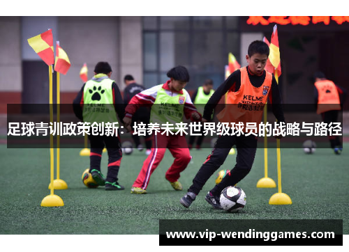 足球青训政策创新：培养未来世界级球员的战略与路径